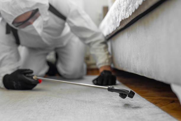 Professional Bed Bug Control technician working in Etowah County County, AL